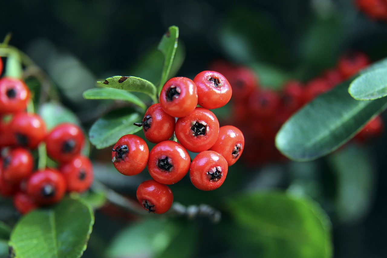 从高级别赛 从高级别赛