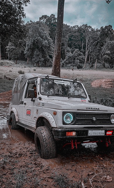 体系的实力 体系的实力