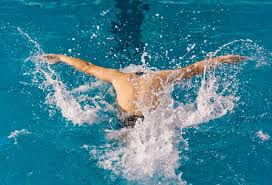 能的多元化 能的多元化