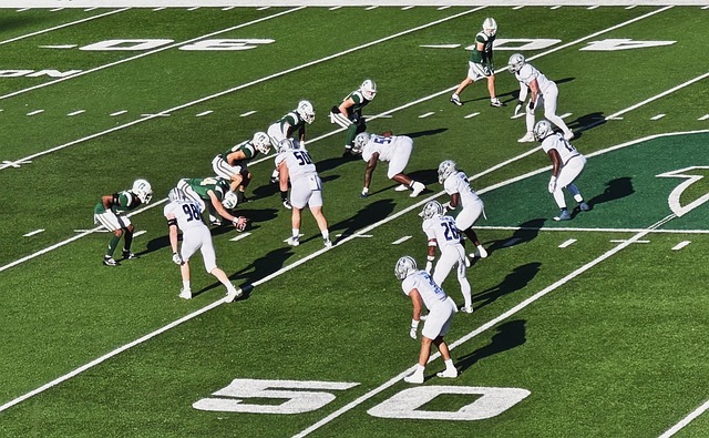 轻人提供了 轻人提供了