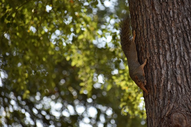 此类竞争往 此类竞争往
